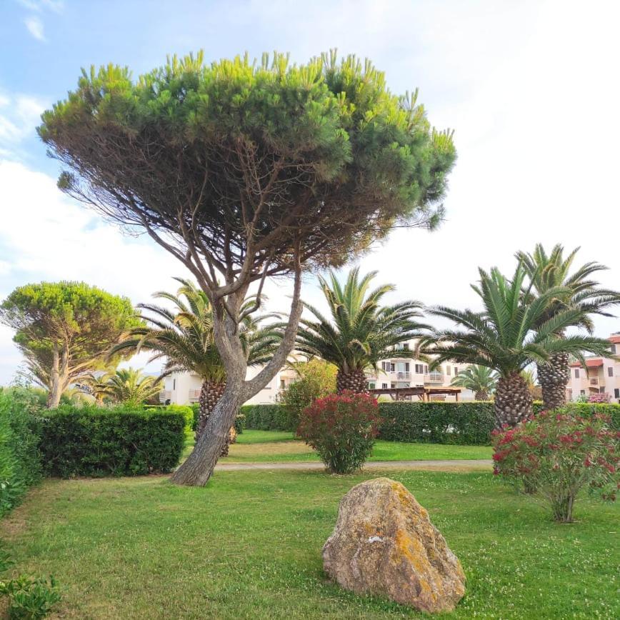 סן סיפריאן Les Capitelles 5 - Acces Direct A La Plage Depuis Le Jardin - T2 Avec Cabine - 6 Pers - Jardin - Piscine - Parking מראה חיצוני תמונה